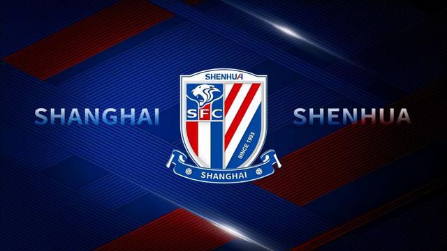 国产v国产v片大片线观看网站