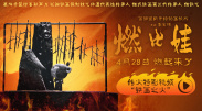久久综合国产