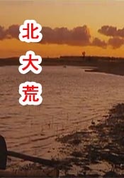 水莓100视频