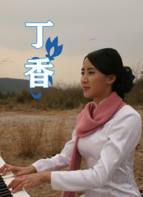 丁香综合av