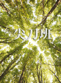 亚洲二区在线视频
