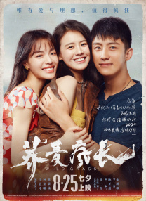 中出视频在线观看