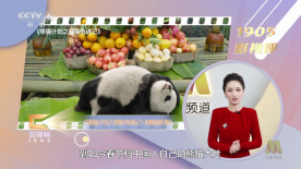 华人生活自拍区杏吧有你